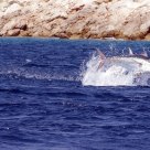 TUNA